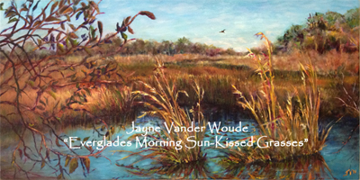 Everglades Morning Sun-kissed Grasses