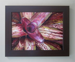 Bromeliad Diversity & Connectedness Framed Giclee