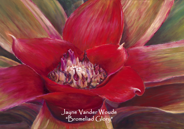 Bromeliad Glory