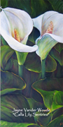 Calla Lily painting