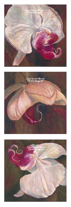 Orchid Paintings Set 