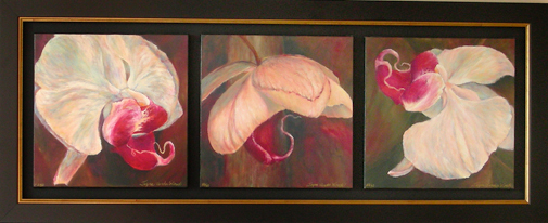 Orchid Stages Set Framed