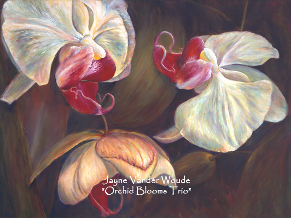 Orchid Bloom Trio